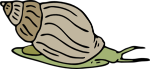 Green Snail Clip Art